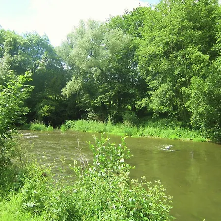 Near Forest And Hiking Trails *