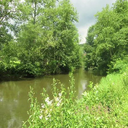 Near Forest And Hiking Trails *