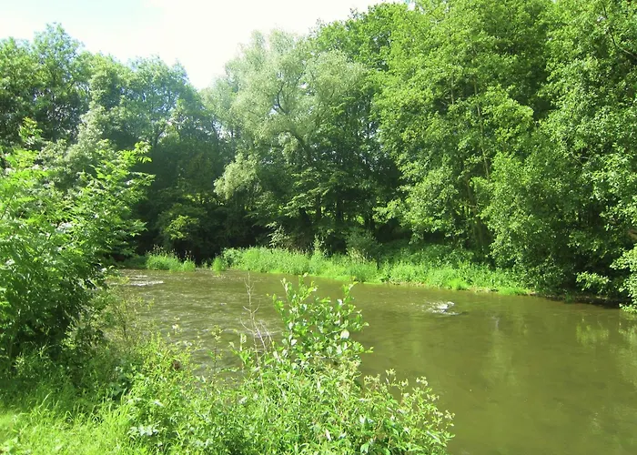 Near Forest And Hiking Trails *