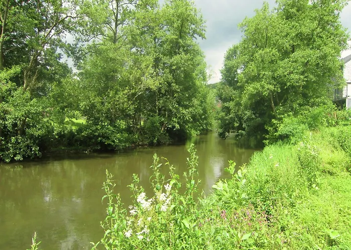 Near Forest And Hiking Trails *